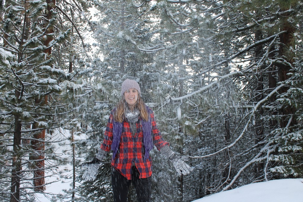 Winter-Wonderland-2
